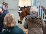 BP240223-76 - Unit Sixtyfour posing for photos in his stable